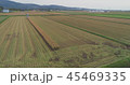 北海道深川市稲刈り空撮 45469335