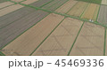 北海道深川市稲刈り空撮 45469336