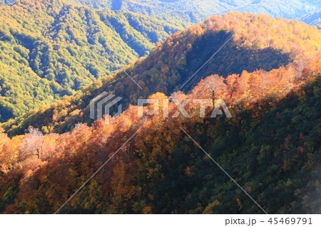 東北 飯豊山山頂への道 秋 目に染む紅葉 東北 飯豊山山頂への道 秋 目に染む紅葉 45469791
