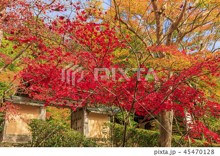 寂光院 紅葉 寂光院 紅葉 45470128