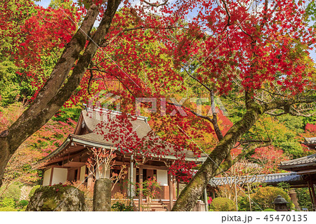 寂光院　紅葉 45470135