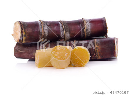 Sugarcane isolated on white background. Sugarcane isolated on white background. 45470197