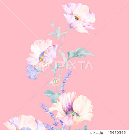透明水彩 水彩画 花 45470546