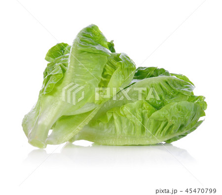 Fresh lettuce isolated on white background. Fresh lettuce isolated on white background. 45470799