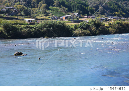 アユ釣り風景 45474652