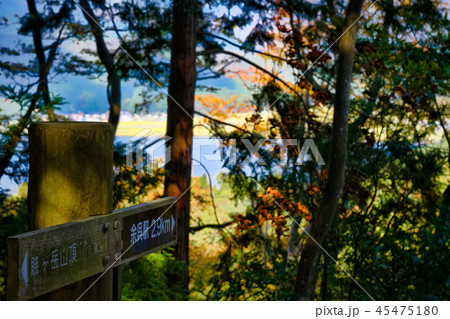 賤ヶ岳/余呉湖案内板 賤ヶ岳/余呉湖案内板 45475180