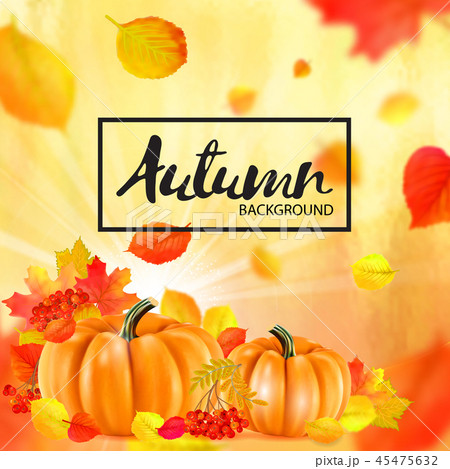 Background of orange autumn pumpkins. Vector 45475632