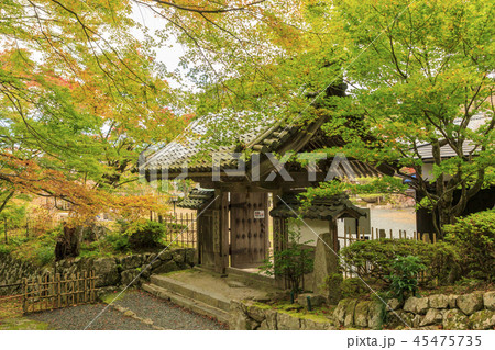 百済寺 紅葉 百済寺 紅葉 45475735