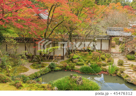 西明寺　紅葉 45476312