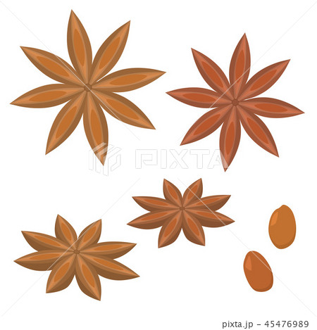 スターアニス スターアニス 45476989