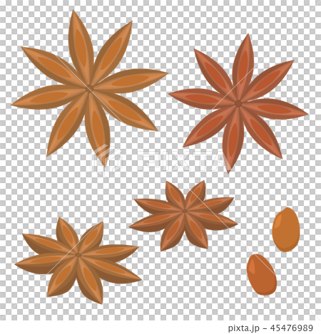 スターアニス スターアニス 45476989