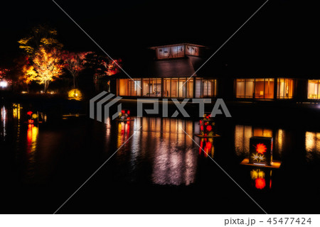 南湖公園 ライトアップ 南湖公園 ライトアップ 45477424