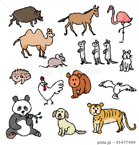 動物たちのイラスト素材