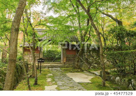 金剛輪寺 紅葉 金剛輪寺 紅葉 45477529