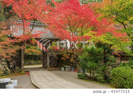金剛輪寺　紅葉 45477533