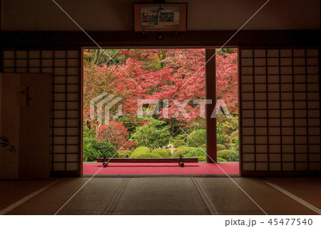 金剛輪寺　紅葉 45477540