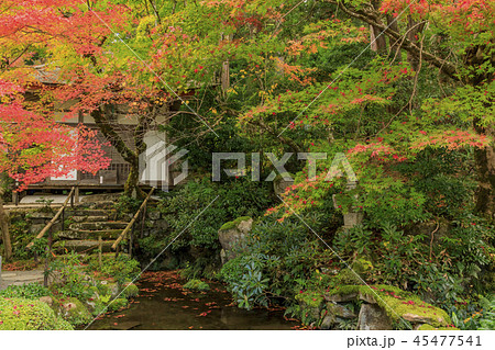 金剛輪寺 紅葉 金剛輪寺 紅葉 45477541