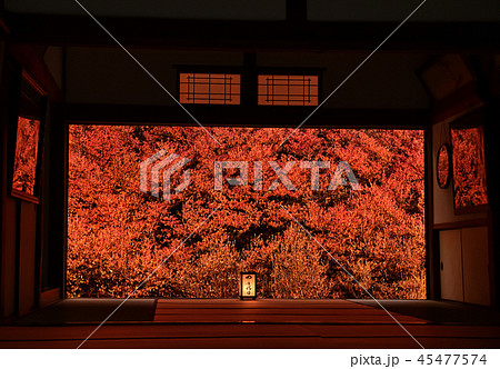 安国寺　紅葉 45477574