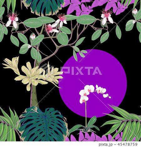 Seamless pattern, background. with tropical plants Seamless pattern, background. with tropical plants 45478759