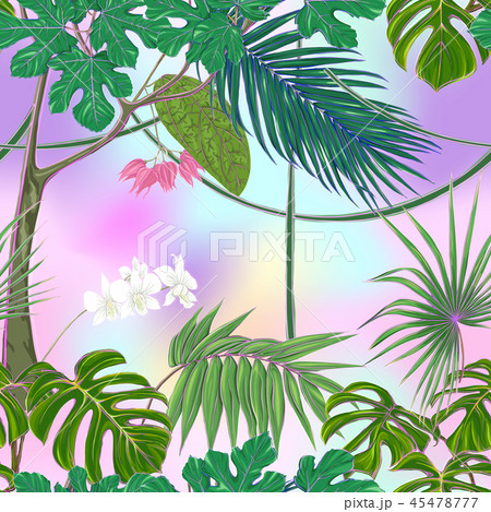Seamless pattern, background. with tropical plants Seamless pattern, background. with tropical plants 45478777