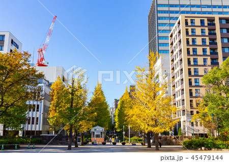 東京・黄葉の浜町公園 東京・黄葉の浜町公園 45479144