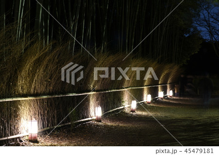 嵐山燈火楼 45479181