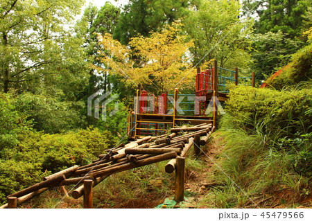 アスレチック アスレチック 45479566