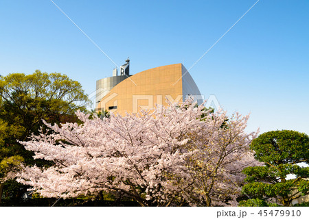 小倉城桜まつり【福岡県北九州市】 小倉城桜まつり【福岡県北九州市】 45479910