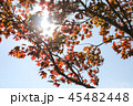 写真 風景 赤 45482448