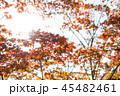 写真 風景 赤 45482461