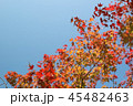 写真 風景 赤 45482463