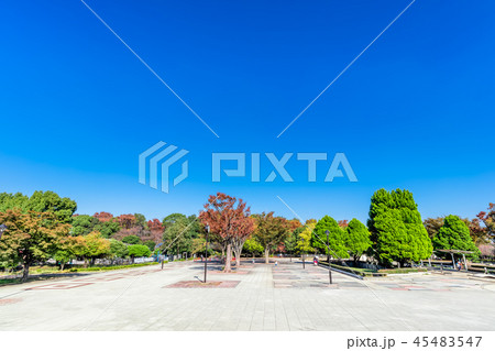 東京　練馬区　秋の光が丘公園 45483547