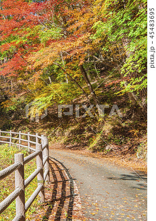 昇仙峡　御嶽昇仙峡　紅葉　散歩　秋　秋イメージ　山岳 45483695