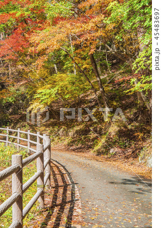 昇仙峡 御嶽昇仙峡 紅葉 散歩 秋 秋イメージ 山岳 昇仙峡 御嶽昇仙峡 紅葉 散歩 秋 秋イメージ 山岳 45483697