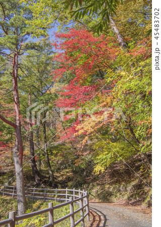 昇仙峡 御嶽昇仙峡 紅葉 散歩 秋 秋イメージ 山岳 昇仙峡 御嶽昇仙峡 紅葉 散歩 秋 秋イメージ 山岳 45483702