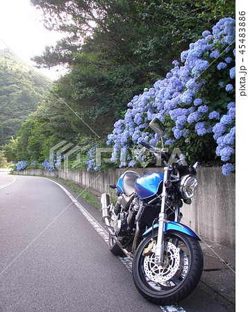 オートバイとアジサイ　６月 45483886