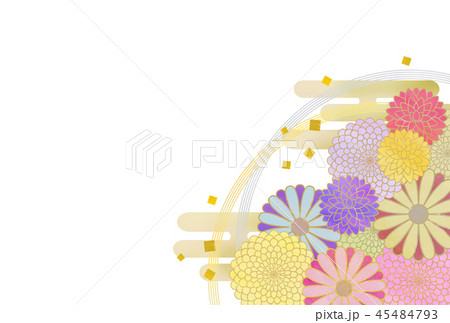 和風 菊の花 のイラスト素材