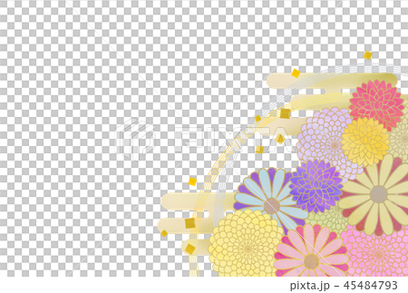 和風 菊の花 のイラスト素材