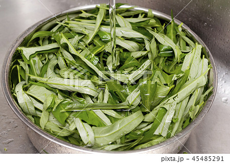 空心菜の下拵え（空心菜の葉部分の水洗い） （エンサイ）ウンチェーバー 45485291