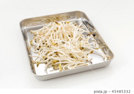 もやし もやし 45485332