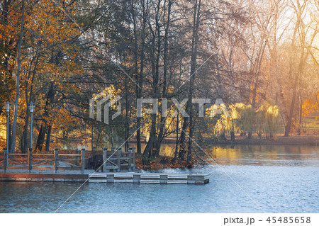 autumn forest by the lake 45485658