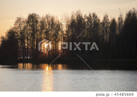 autumn forest by the lake 45485669