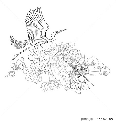 A composition of tropical plants, palm leaves 45487169