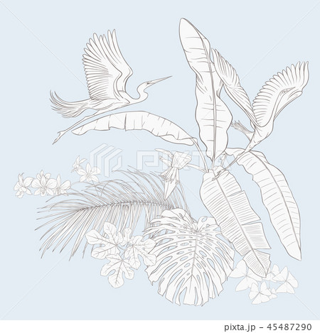 A composition of tropical plants, palm leaves A composition of tropical plants, palm leaves 45487290