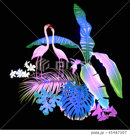 A composition of tropical plants, palm leaves A composition of tropical plants, palm leaves 45487307