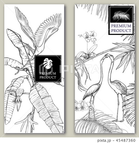 Set of two templates for label for product, cards Set of two templates for label for product, cards 45487360