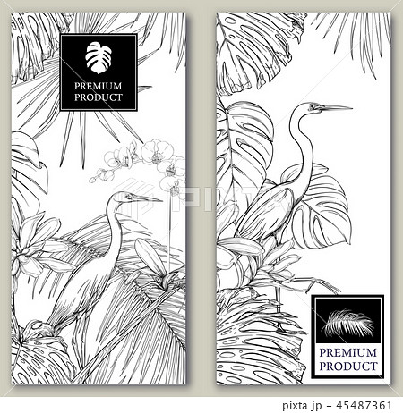 Set of two templates for label for product, cards Set of two templates for label for product, cards 45487361