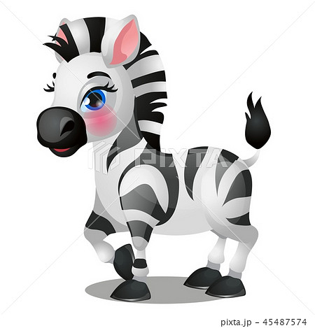 zebra baby face
