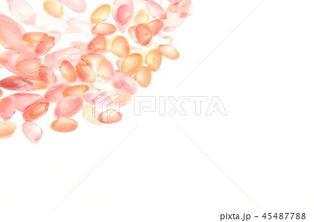 桜貝 桜貝 45487788