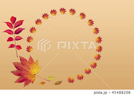 秋のフレーム＿紅葉、オレンジ背景 45488206